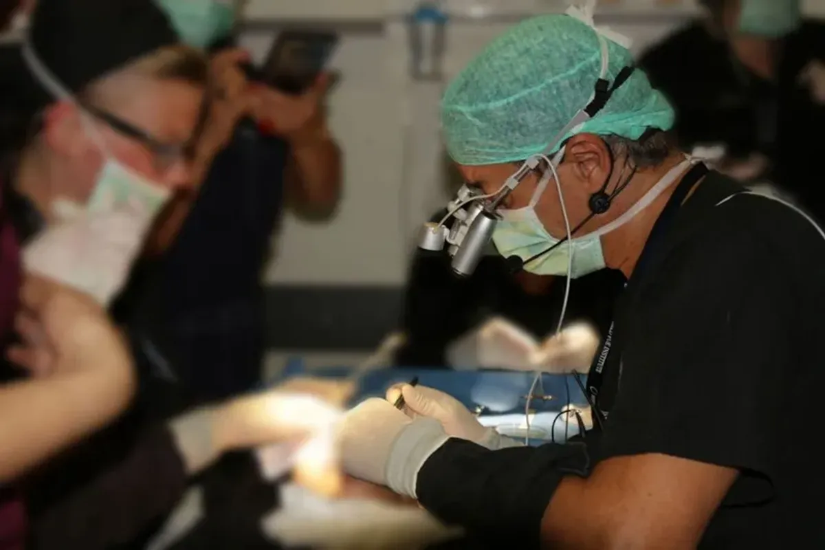 Dr Bijan Feriduni, Hasselt, Belgium