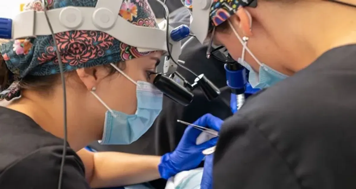 Natural Hair Transplant, Avignon, France